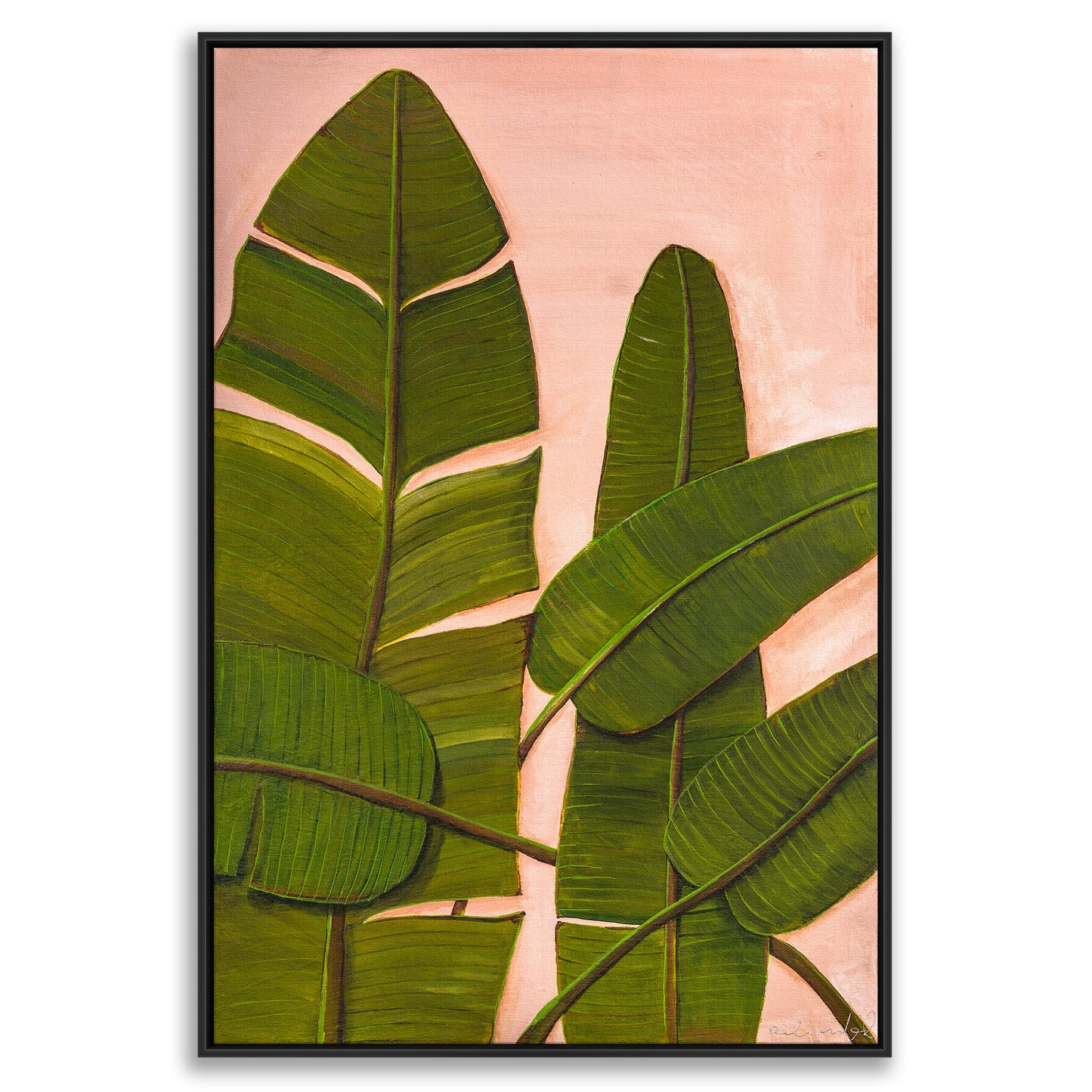 Banana Leaves