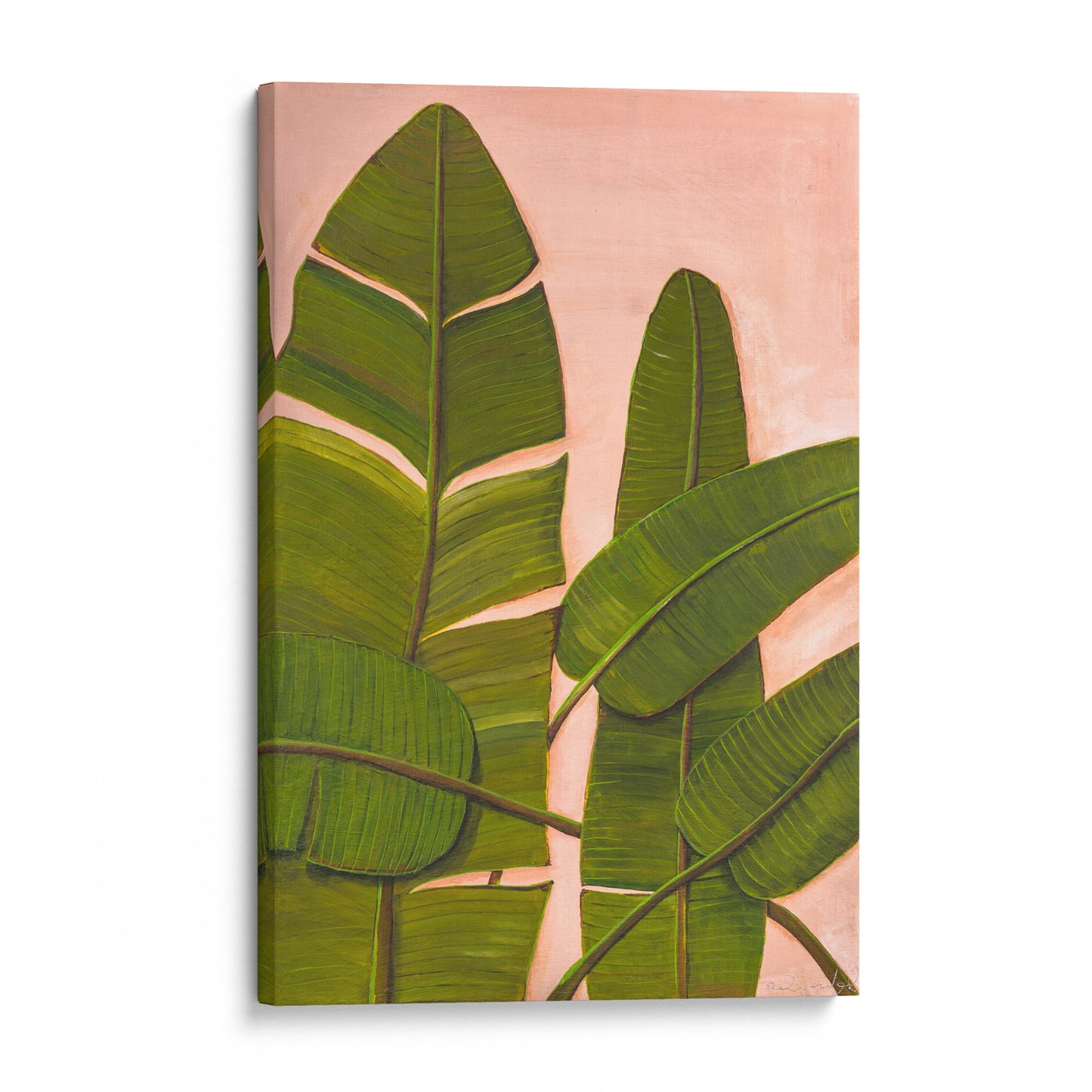 Banana Leaves