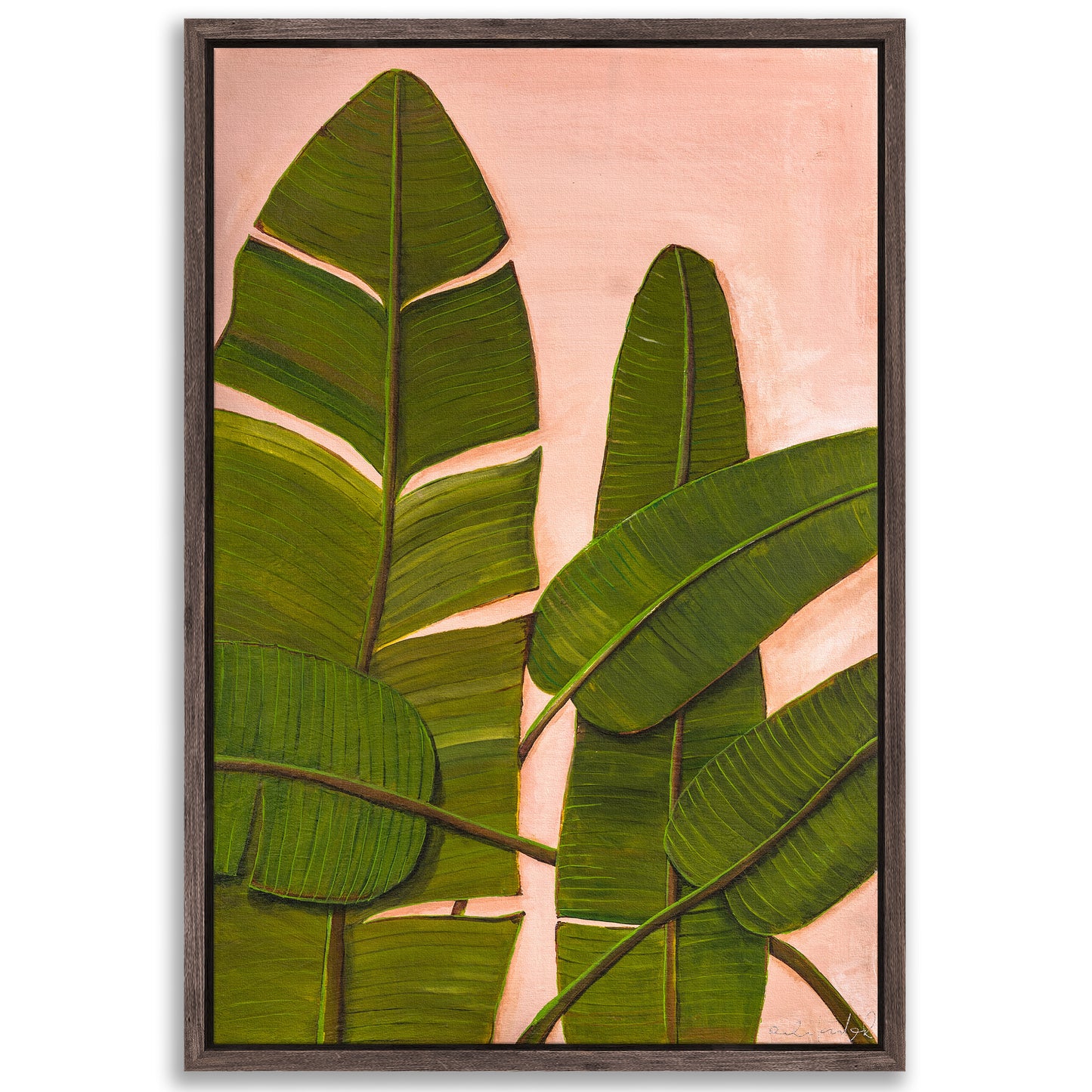 Banana Leaves