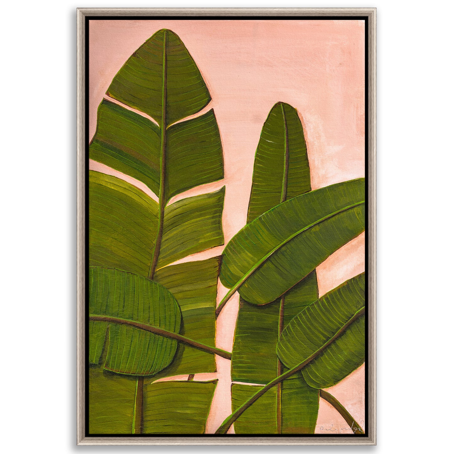 Banana Leaves