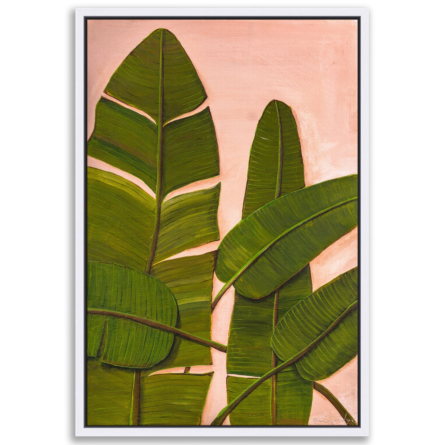 Banana Leaves