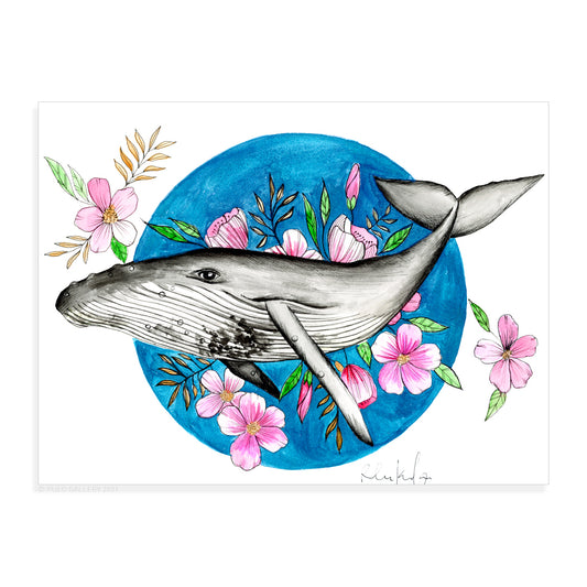 Humpback and Cherry Blossoms