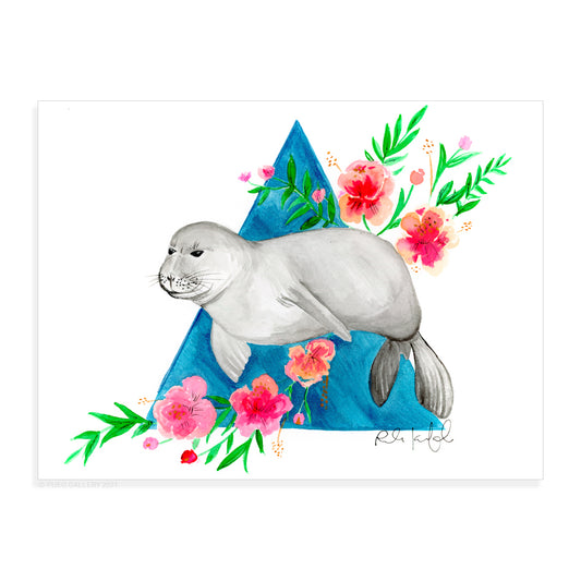 Monk Seal