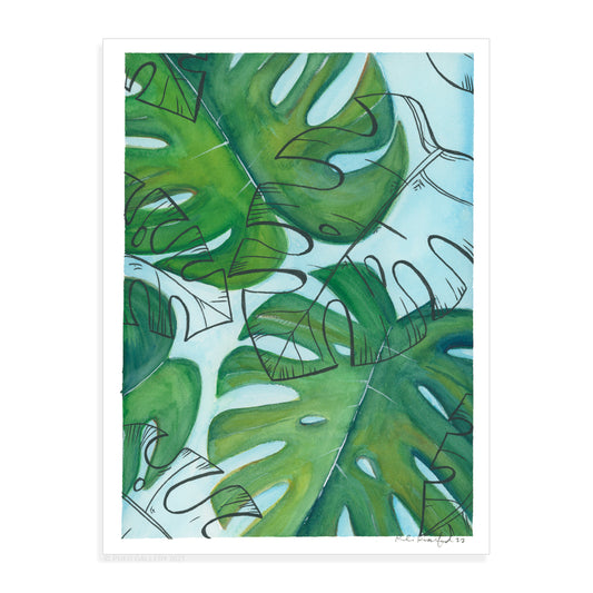 Monstera