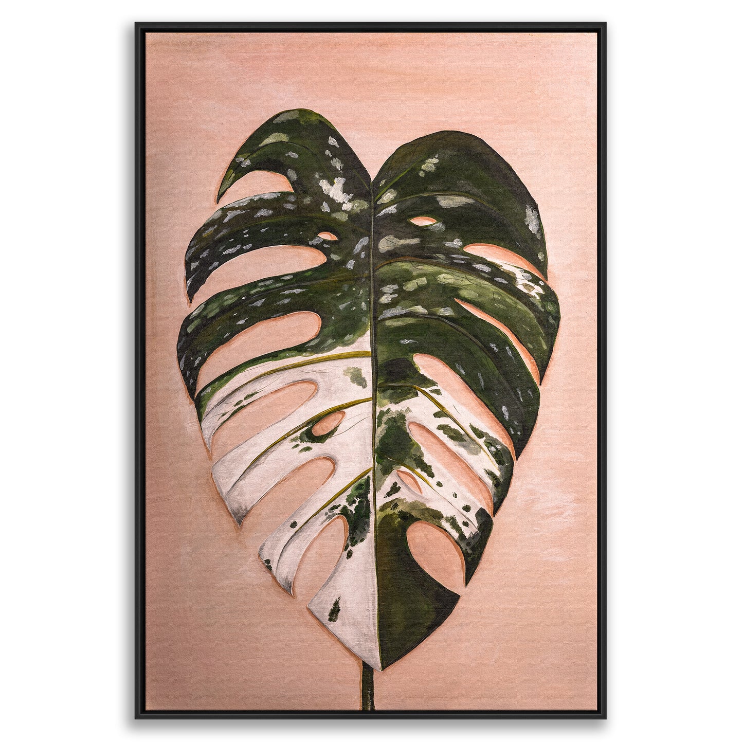 Monstera