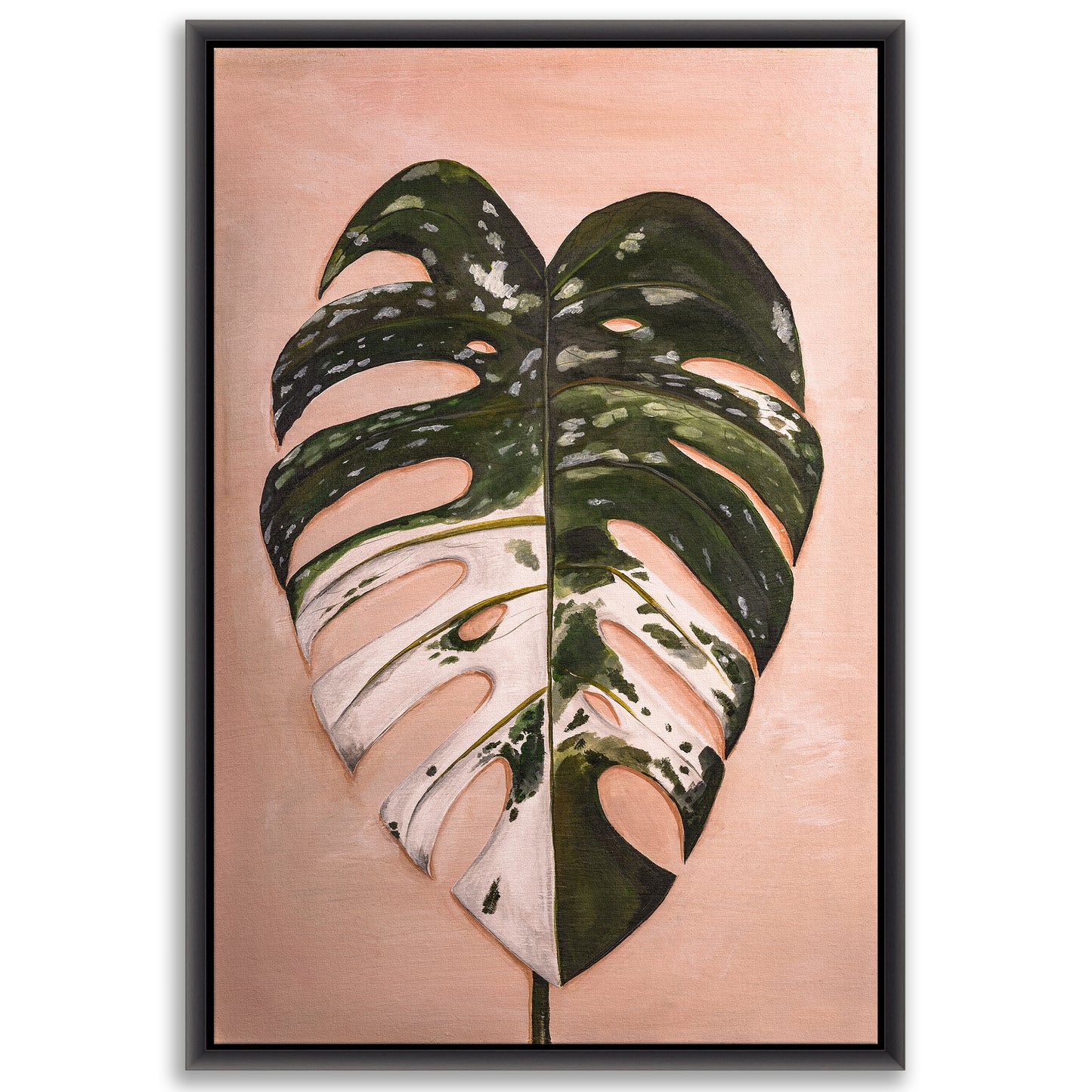 Monstera