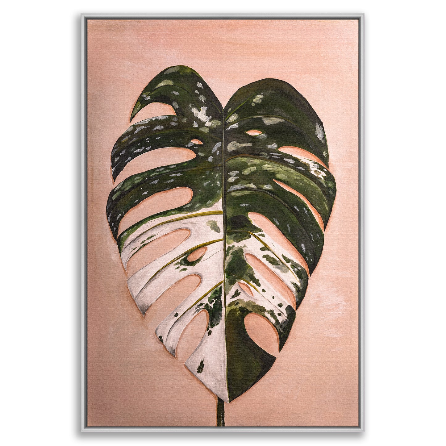 Monstera