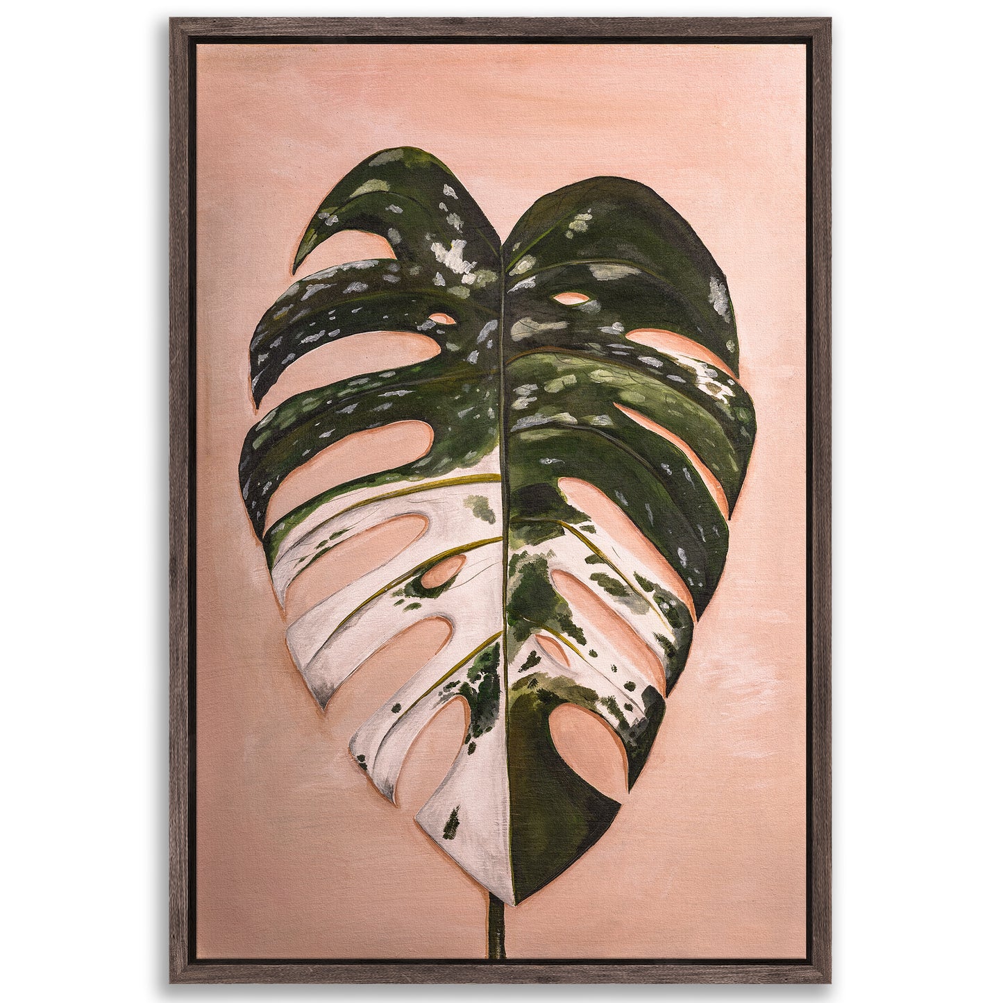 Monstera