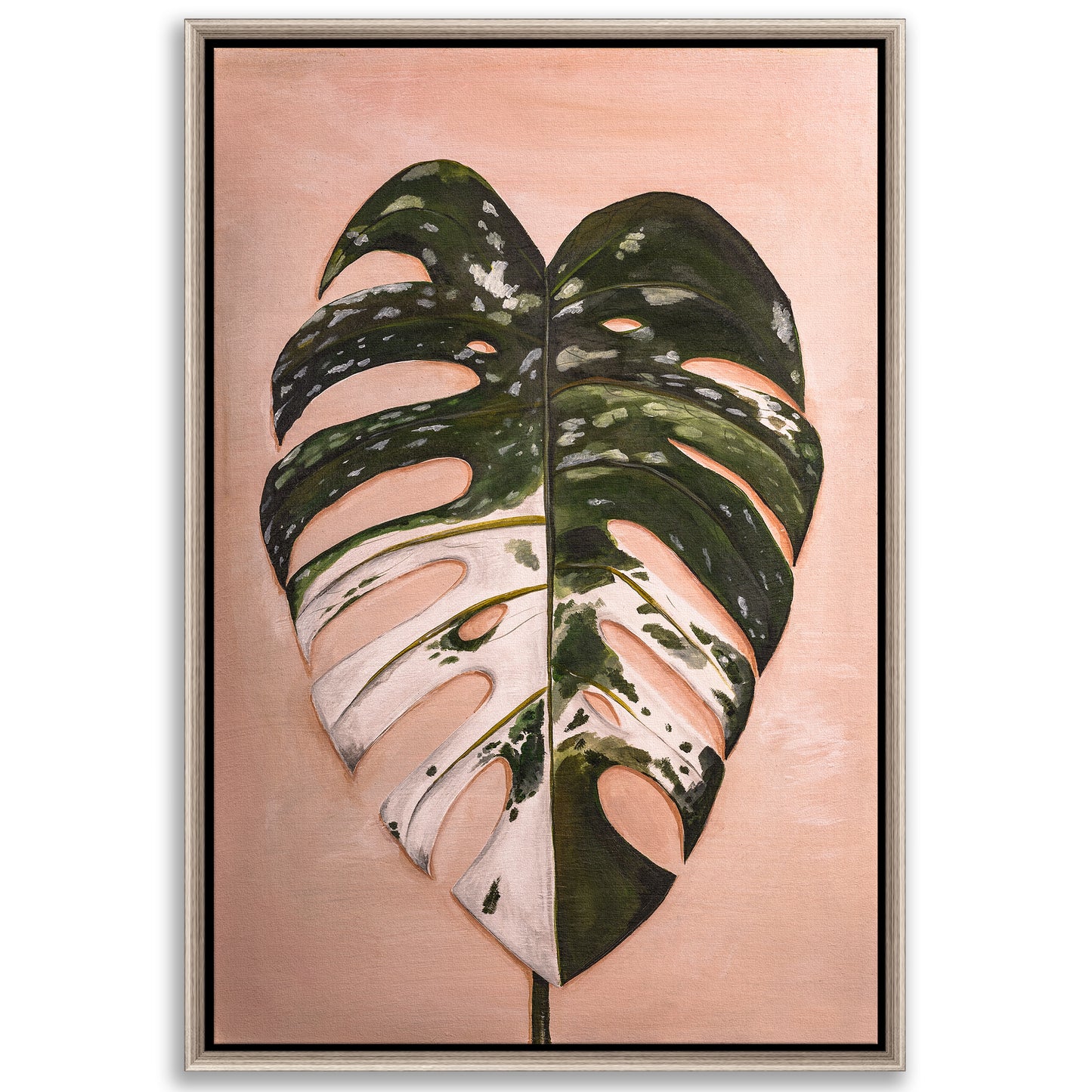 Monstera