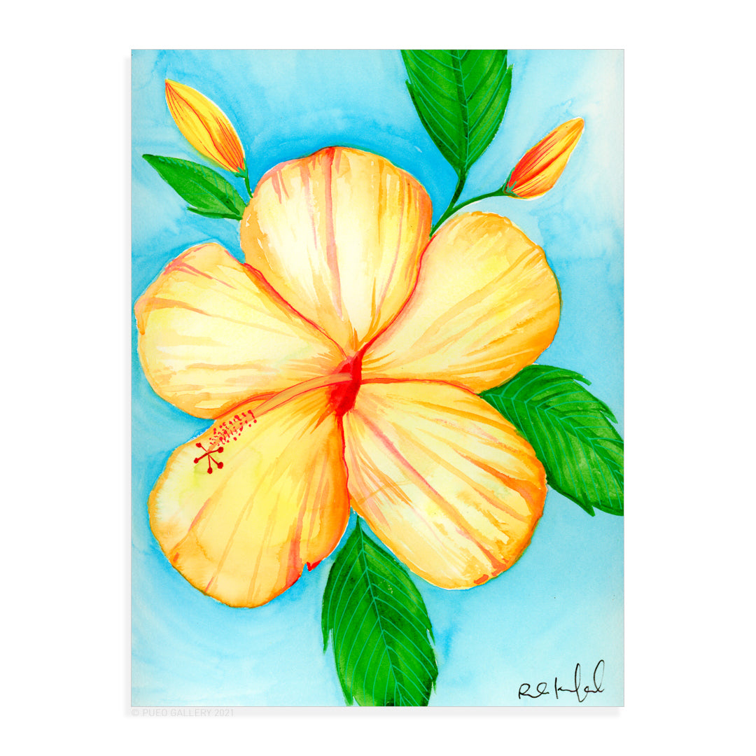 Yellow Hibiscus